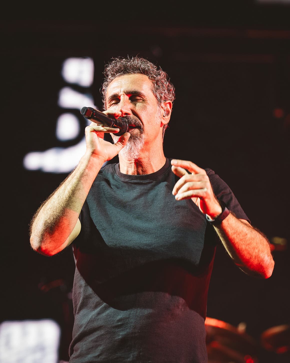 System of a Down performs at Metlife Stadium. System of a Down performs at Metlife Stadium.