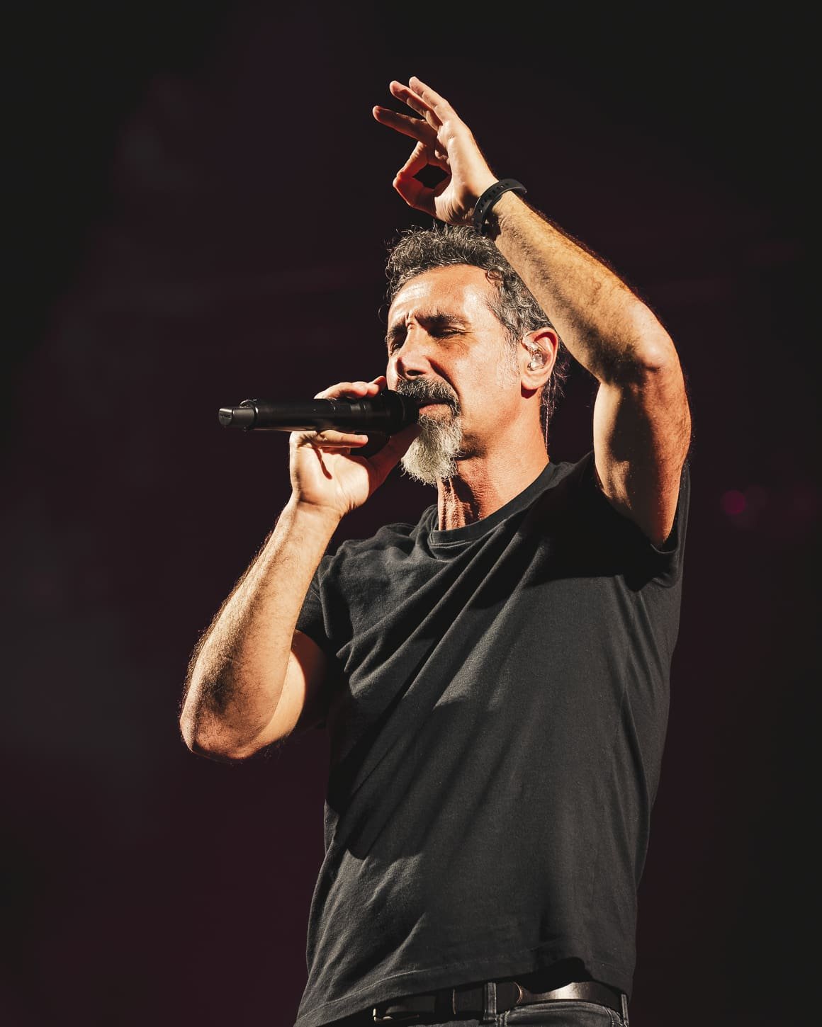 System of a Down performs at Metlife Stadium. System of a Down performs at Metlife Stadium.