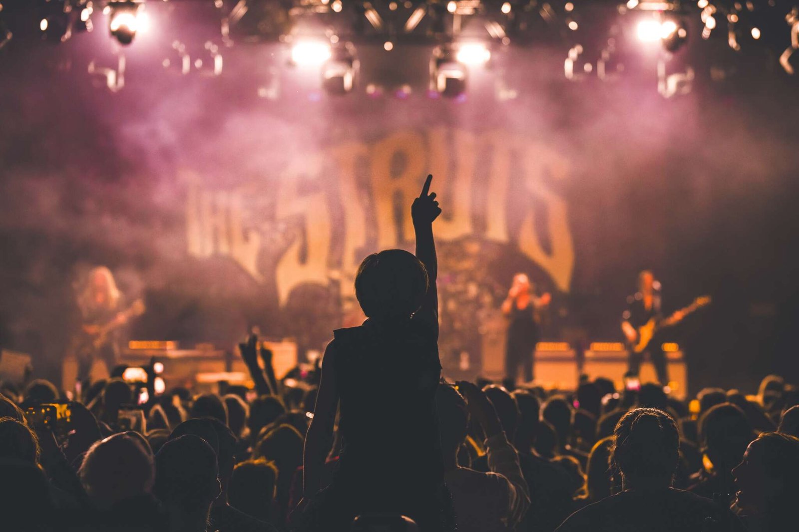 TheStruts-22