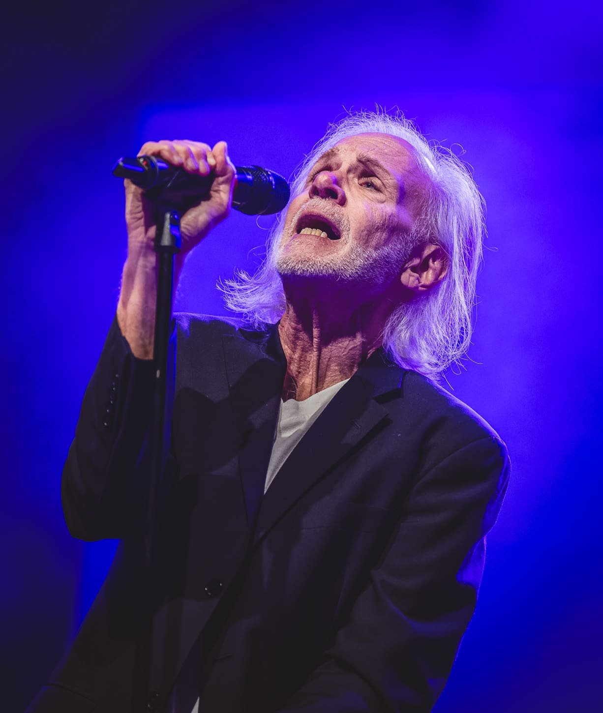 Pierre Robert: A Show of Life Pierre Robert: A Show of Life